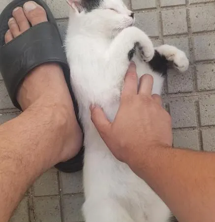 North Star Хостел