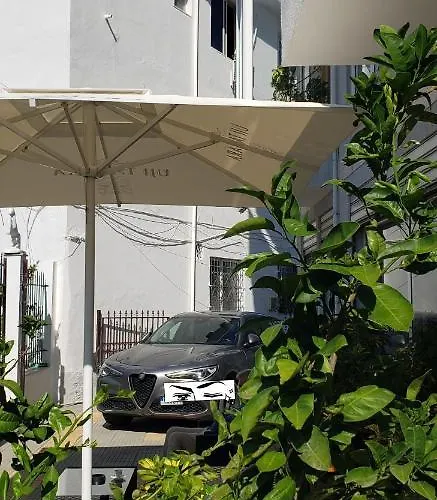 North Star * Szkodra